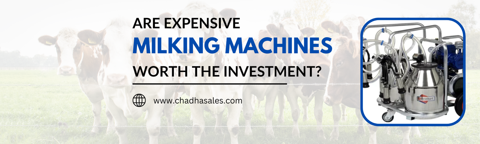 Are Expensive Milking Machines Worth the Investment?