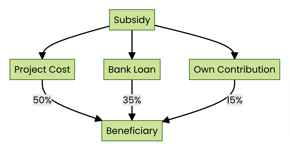 Visual Representation of the Subsidy Process 